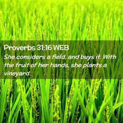 Picture 02 - Proverbs 31:16 WEB - She considers a field, and buys it. With the - Bible Verse Picture