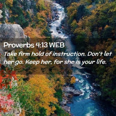 Picture 02 - Proverbs 4:13 WEB - Take firm hold of instruction. Don't let her go. - Bible Verse Picture