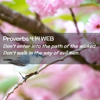 Picture 02 - Proverbs 4:14 WEB - Don't enter into the path of the wicked. Don't - Bible Verse Picture