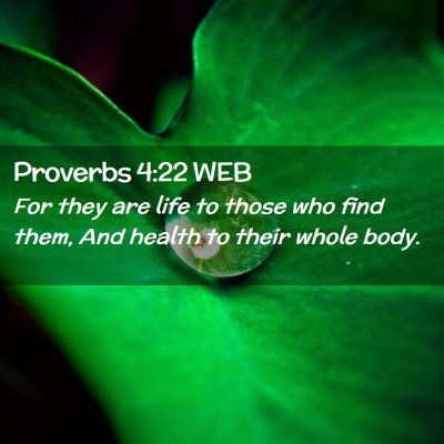 Picture 02 - Proverbs 4:22 WEB - For they are life to those who find them, And - Bible Verse Picture