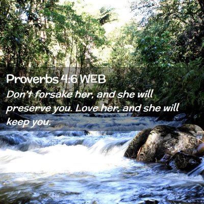 Picture 02 - Proverbs 4:6 WEB - Don't forsake her, and she will preserve you. - Bible Verse Picture