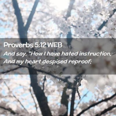 Picture 02 - Proverbs 5:12 WEB - And say, 