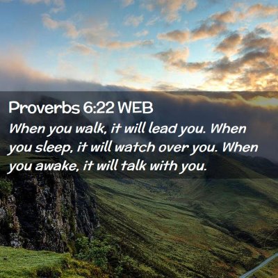 Picture 02 - Proverbs 6:22 WEB - When you walk, it will lead you. When you sleep, - Bible Verse Picture