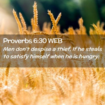 Picture 02 - Proverbs 6:30 WEB - Men don't despise a thief, If he steals to - Bible Verse Picture