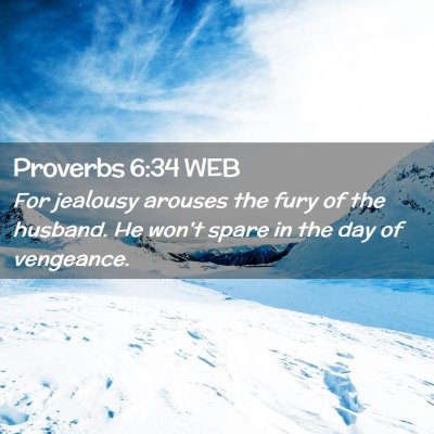 Picture 02 - Proverbs 6:34 WEB - For jealousy arouses the fury of the husband. He - Bible Verse Picture