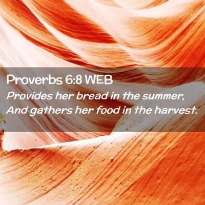 Picture 02 - Proverbs 6:8 WEB - Provides her bread in the summer, And gathers her - Bible Verse Picture