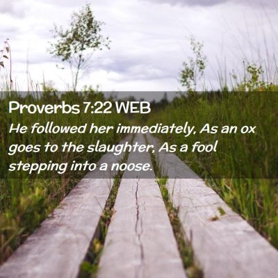 Picture 02 - Proverbs 7:22 WEB - He followed her immediately, As an ox goes to the - Bible Verse Picture