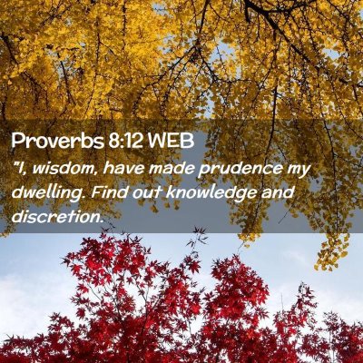 Picture 02 - Proverbs 8:12 WEB - 