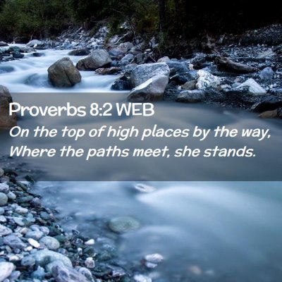 Picture 02 - Proverbs 8:2 WEB - On the top of high places by the way, Where the - Bible Verse Picture