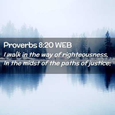 Picture 02 - Proverbs 8:20 WEB - I walk in the way of righteousness, In the midst - Bible Verse Picture