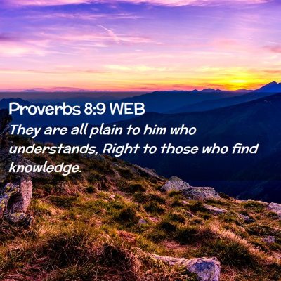 Picture 02 - Proverbs 8:9 WEB - They are all plain to him who understands, Right - Bible Verse Picture