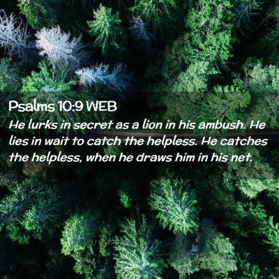 Picture 02 - Psalms 10:9 WEB - He lurks in secret as a lion in his ambush. He - Bible Verse Picture