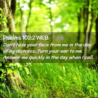 Picture 02 - Psalms 102:2 WEB - Don't hide your face from me in the day of my - Bible Verse Picture