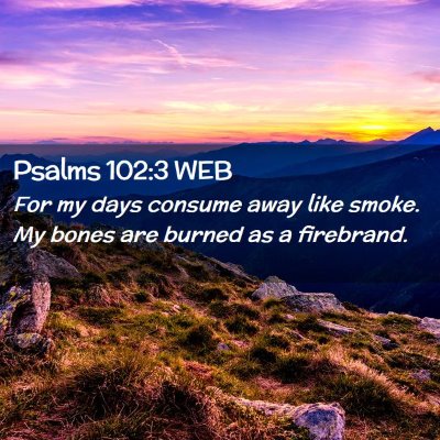 Picture 02 - Psalms 102:3 WEB - For my days consume away like smoke. My bones are - Bible Verse Picture