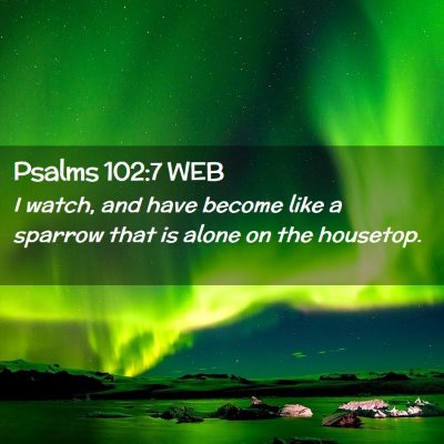 Picture 02 - Psalms 102:7 WEB - I watch, and have become like a sparrow that is - Bible Verse Picture