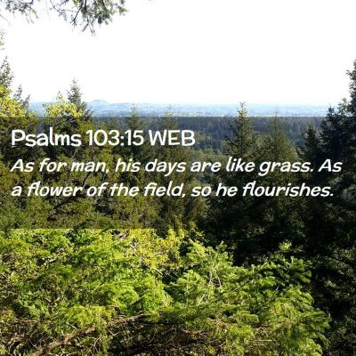 Picture 02 - Psalms 103:15 WEB - As for man, his days are like grass. As a flower - Bible Verse Picture