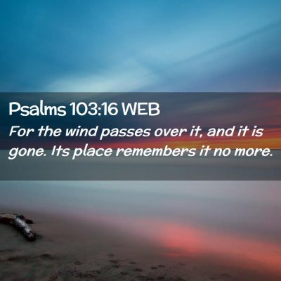 Picture 02 - Psalms 103:16 WEB - For the wind passes over it, and it is gone. Its - Bible Verse Picture