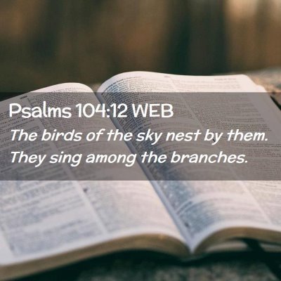 Picture 02 - Psalms 104:12 WEB - The birds of the sky nest by them. They sing - Bible Verse Picture