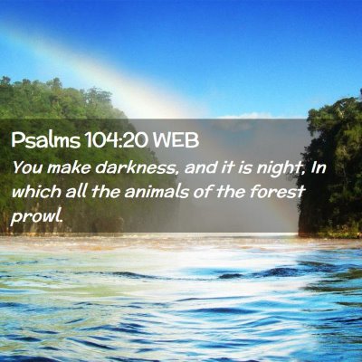 Picture 02 - Psalms 104:20 WEB - You make darkness, and it is night, In which all - Bible Verse Picture