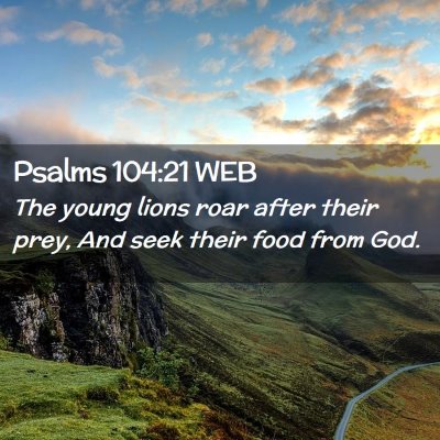 Picture 02 - Psalms 104:21 WEB - The young lions roar after their prey, And seek - Bible Verse Picture