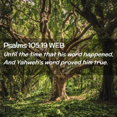 Picture 02 - Psalms 105:19 WEB - Until the time that his word happened, And - Bible Verse Picture