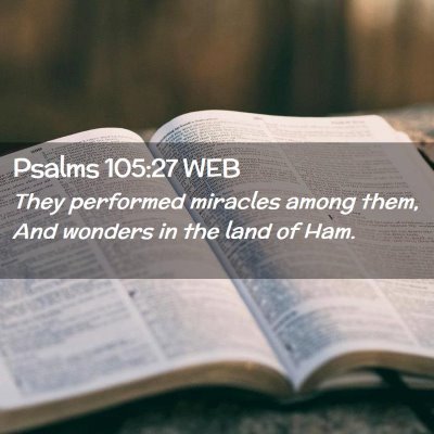Picture 02 - Psalms 105:27 WEB - They performed miracles among them, And wonders - Bible Verse Picture