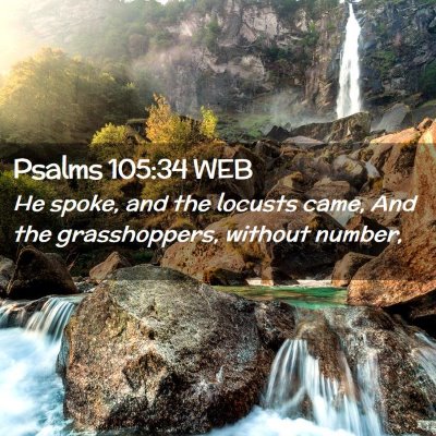 Picture 02 - Psalms 105:34 WEB - He spoke, and the locusts came, And the - Bible Verse Picture