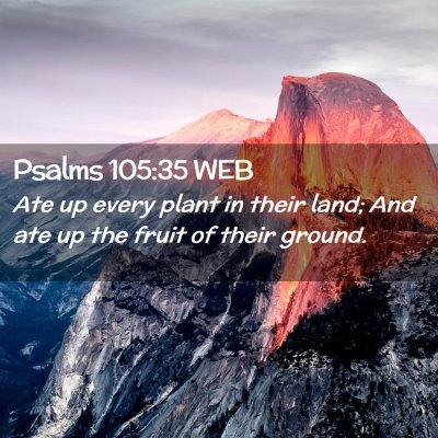 Picture 02 - Psalms 105:35 WEB - Ate up every plant in their land; And ate up the - Bible Verse Picture