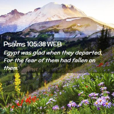 Picture 02 - Psalms 105:38 WEB - Egypt was glad when they departed, For the fear - Bible Verse Picture