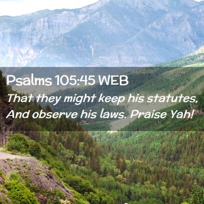 Picture 02 - Psalms 105:45 WEB - That they might keep his statutes, And observe - Bible Verse Picture