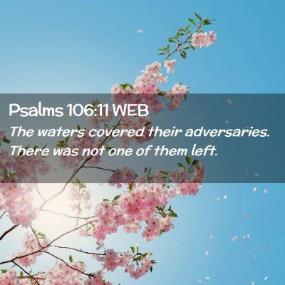 Picture 02 - Psalms 106:11 WEB - The waters covered their adversaries. There was - Bible Verse Picture