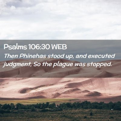 Picture 02 - Psalms 106:30 WEB - Then Phinehas stood up, and executed judgment, So - Bible Verse Picture