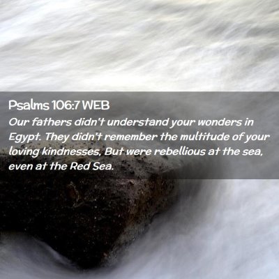 Picture 02 - Psalms 106:7 WEB - Our fathers didn't understand your wonders in - Bible Verse Picture