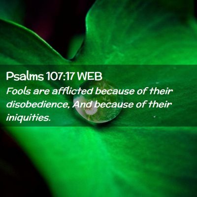 Picture 02 - Psalms 107:17 WEB - Fools are afflicted because of their - Bible Verse Picture