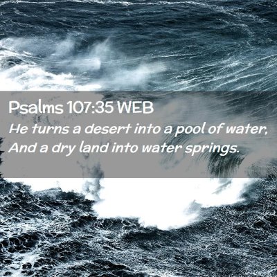 Picture 02 - Psalms 107:35 WEB - He turns a desert into a pool of water, And a dry - Bible Verse Picture