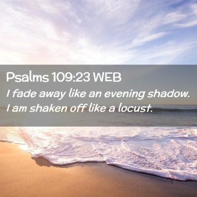 Picture 02 - Psalms 109:23 WEB - I fade away like an evening shadow. I am shaken - Bible Verse Picture