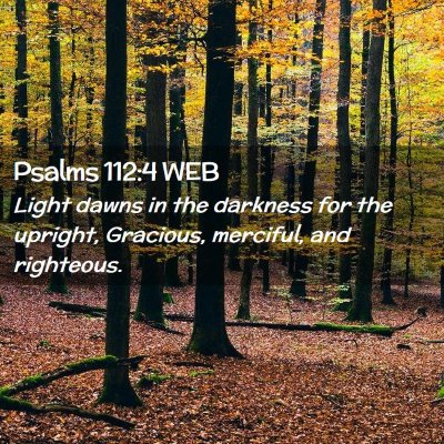 Picture 02 - Psalms 112:4 WEB - Light dawns in the darkness for the upright, - Bible Verse Picture