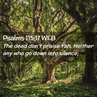 Picture 02 - Psalms 115:17 WEB - The dead don't praise Yah, Neither any who go - Bible Verse Picture