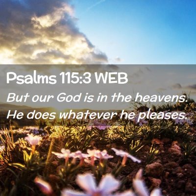 Picture 02 - Psalms 115:3 WEB - But our God is in the heavens. He does whatever - Bible Verse Picture