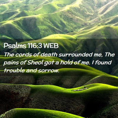Picture 02 - Psalms 116:3 WEB - The cords of death surrounded me, The pains of - Bible Verse Picture