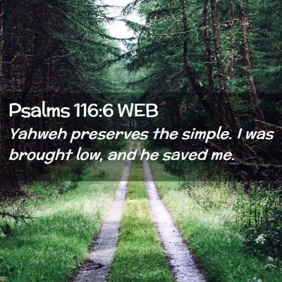 Picture 02 - Psalms 116:6 WEB - Yahweh preserves the simple. I was brought low, - Bible Verse Picture