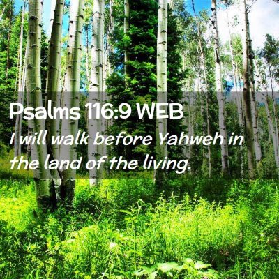 Picture 02 - Psalms 116:9 WEB - I will walk before Yahweh in the land of the - Bible Verse Picture