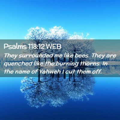 Picture 02 - Psalms 118:12 WEB - They surrounded me like bees. They are quenched - Bible Verse Picture