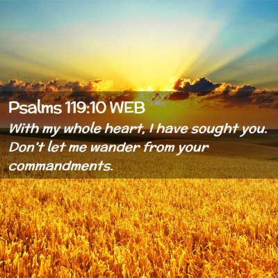 Picture 02 - Psalms 119:10 WEB - With my whole heart, I have sought you. Don't let - Bible Verse Picture