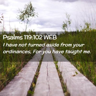 Picture 02 - Psalms 119:102 WEB - I have not turned aside from your ordinances, For - Bible Verse Picture