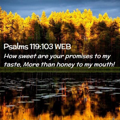 Picture 02 - Psalms 119:103 WEB - How sweet are your promises to my taste, More - Bible Verse Picture