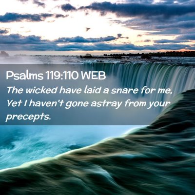 Picture 02 - Psalms 119:110 WEB - The wicked have laid a snare for me, Yet I - Bible Verse Picture
