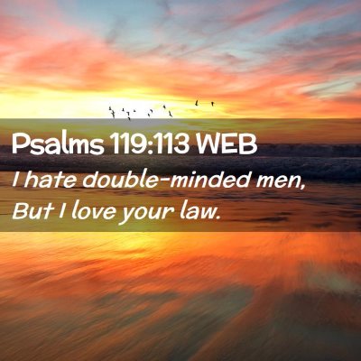 Picture 02 - Psalms 119:113 WEB - I hate double-minded men, But I love your - Bible Verse Picture