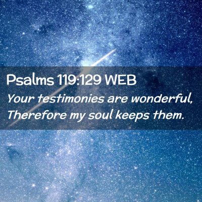 Picture 02 - Psalms 119:129 WEB - Your testimonies are wonderful, Therefore my soul - Bible Verse Picture