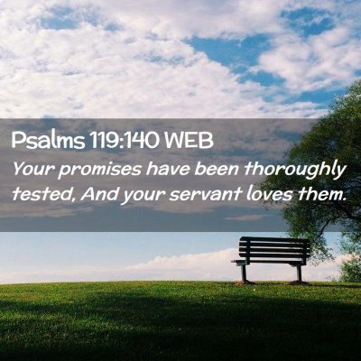 Picture 02 - Psalms 119:140 WEB - Your promises have been thoroughly tested, And - Bible Verse Picture
